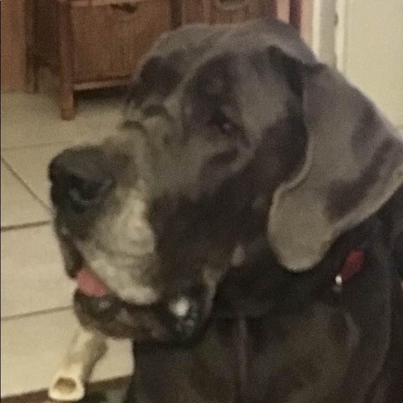 Meet your Posher, Angela - Picture 3 of 5